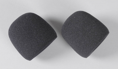 Foam filter insert, 2pce.